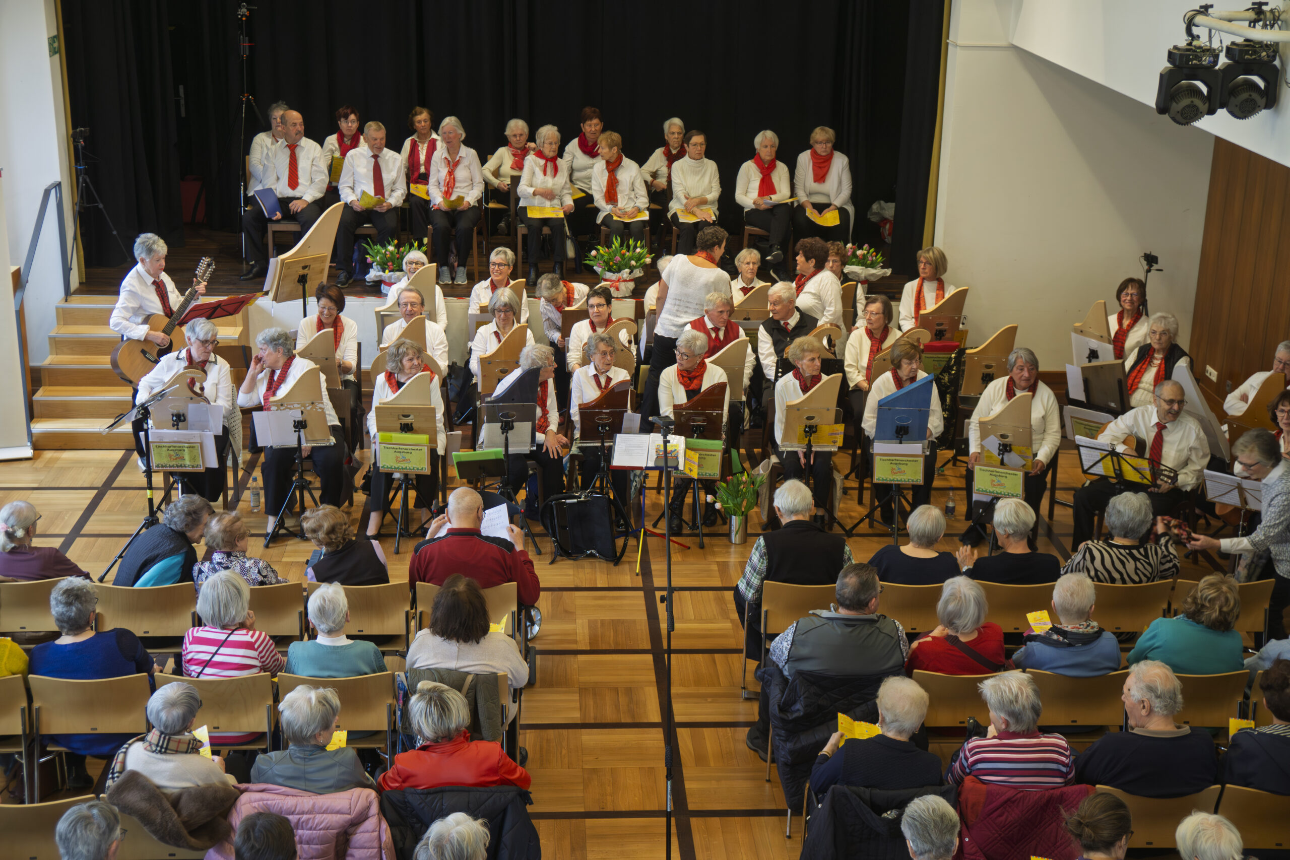 Wenn der Lenz die Saiten küsst